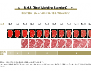 BMS（脂肪交雑）の等級の見分け方