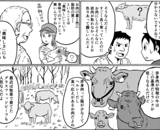 牛肉の格付けについて