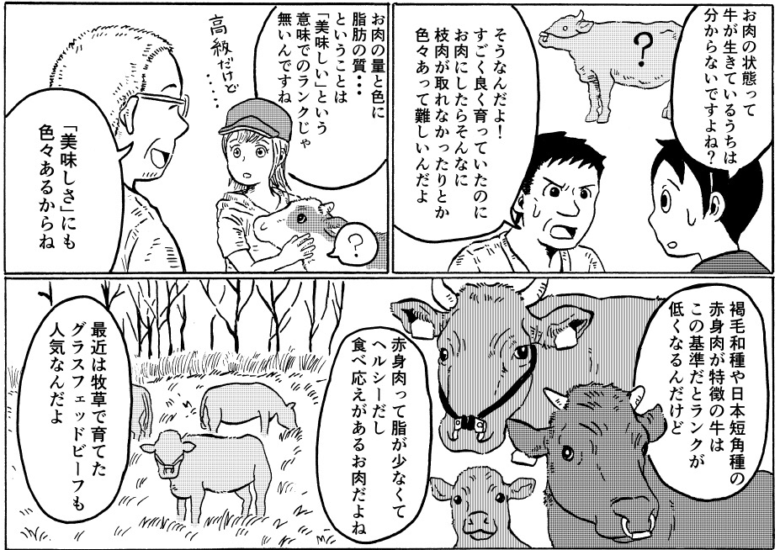 牛肉の格付けについて