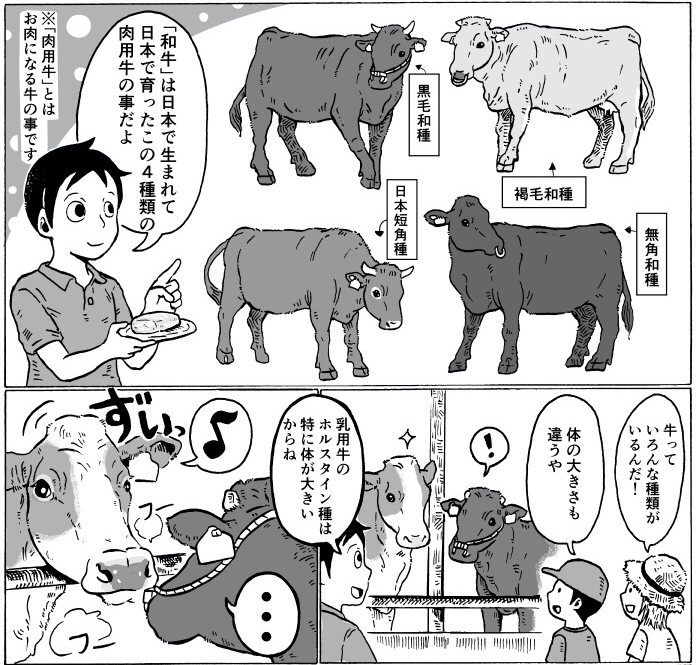 ゼロから学ぶ畜産 和牛 わぎゅう 有限会社矢野畜産