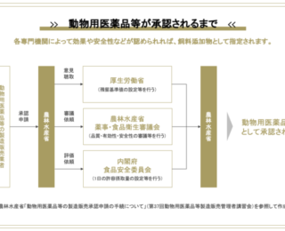 動物用医薬品等の承認フロー